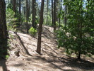photo thumbnail #2