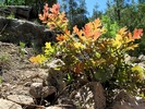 photo thumbnail #8