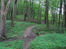 photo thumbnail #9