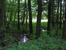 photo thumbnail #10