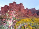 photo thumbnail #1