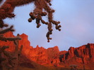 photo thumbnail #4