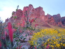 photo thumbnail #1