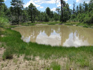 photo thumbnail #8