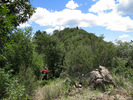 photo thumbnail #13
