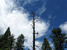 photo thumbnail #15