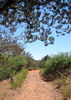 photo thumbnail #6
