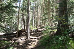 photo thumbnail #6