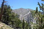 photo thumbnail #12