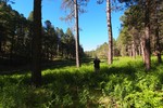 photo thumbnail #2