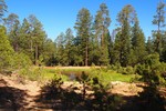 photo thumbnail #6