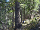 photo thumbnail #7