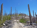 photo thumbnail #13