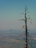 photo thumbnail #15