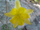 photo thumbnail #11