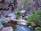 photo thumbnail #7