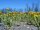 photo thumbnail #6