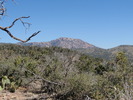 photo thumbnail #2