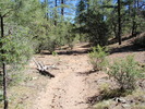 photo thumbnail #5