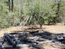 photo thumbnail #6