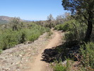 photo thumbnail #9