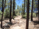 photo thumbnail #10