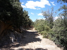 photo thumbnail #14