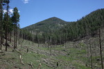 photo thumbnail #3