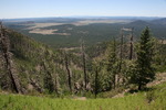 photo thumbnail #5