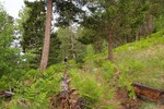 photo thumbnail #3