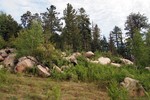 photo thumbnail #4