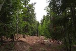 photo thumbnail #14