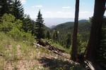 photo thumbnail #7