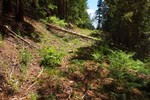 photo thumbnail #8