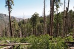 photo thumbnail #12