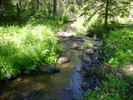 photo thumbnail #2
