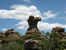 photo thumbnail #13