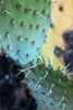 photo thumbnail #3