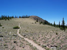 photo thumbnail #7