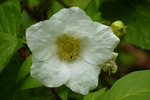 photo thumbnail #14