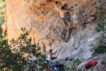 photo thumbnail #10