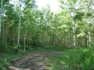 photo thumbnail #6