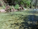 photo thumbnail #8