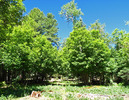 photo thumbnail #11