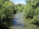photo thumbnail #6