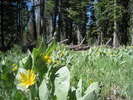 photo thumbnail #7