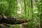 photo thumbnail #8