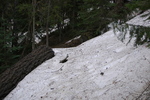 photo thumbnail #11