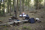 photo thumbnail #12