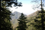 photo thumbnail #13